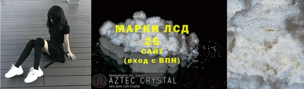 хмурый Нестеровская