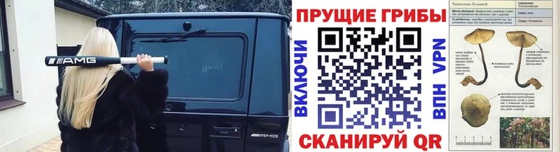 Галлюциногенные грибы прущие грибы  Купить  Байкальск 