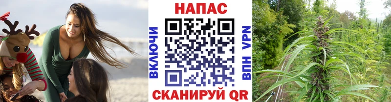Бошки марихуана Ganja  Купить где  Байкальск 
